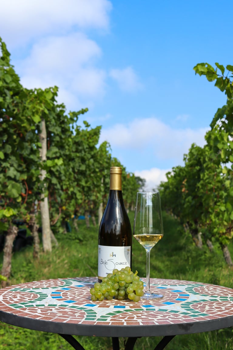 Wine bottle, glass of white wine, and green grapes on mosaic table in vineyard rows under blue sky
